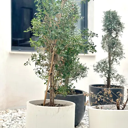 Maison d'hôtes A-cero Living Alicante